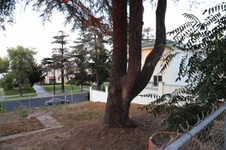 Enlarge photo 167