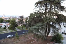 Enlarge photo 209