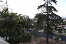 Enlarge photo 211