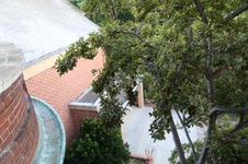 Enlarge photo 223