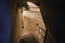 Enlarge photo 235