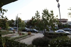 Enlarge photo 40
