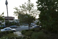 Enlarge photo 41