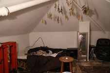 Enlarge photo 69