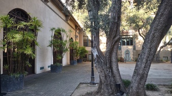 Enlarge photo 37