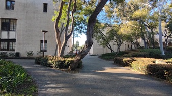 Enlarge photo 23
