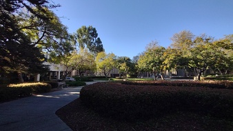 Enlarge photo 46