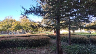 Enlarge photo 36