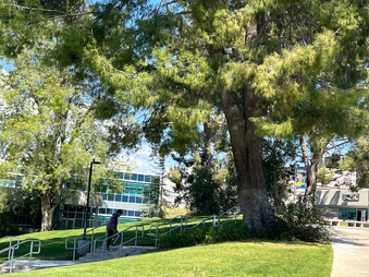 Enlarge photo 18