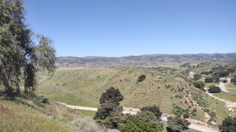 Enlarge photo 30