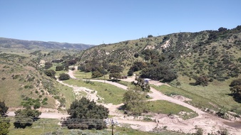 Enlarge photo 43