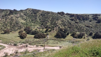 Enlarge photo 40