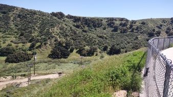 Enlarge photo 35