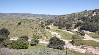 Enlarge photo 42