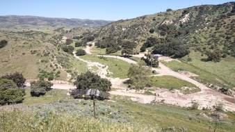 Enlarge photo 36
