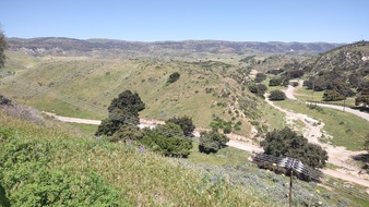 Enlarge photo 44