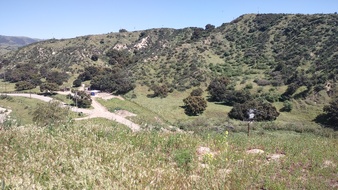 Enlarge photo 31