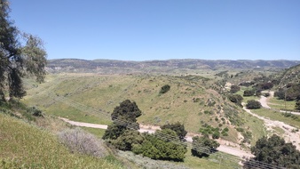 Enlarge photo 37