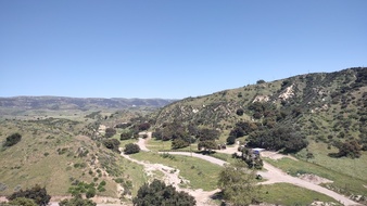 Enlarge photo 41