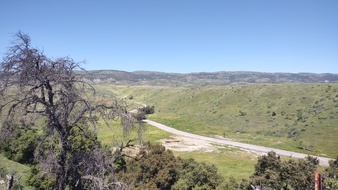 Enlarge photo 32