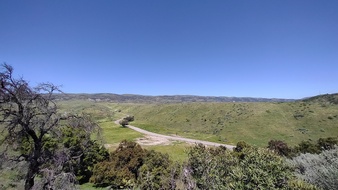 Enlarge photo 39
