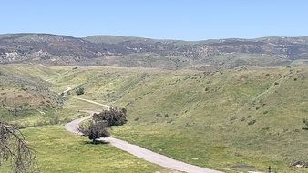 Enlarge photo 38