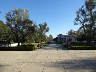 Enlarge photo 136