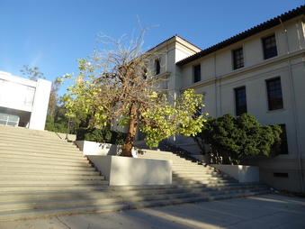 Enlarge photo 17