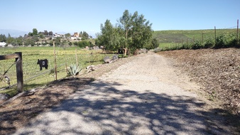 Enlarge photo 24