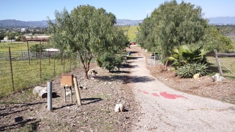 Enlarge photo 18