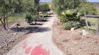 Enlarge photo 15