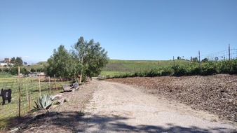Enlarge photo 27