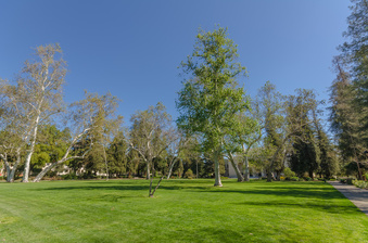 Enlarge photo 48