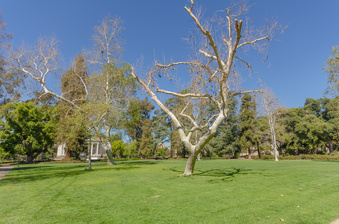Enlarge photo 47