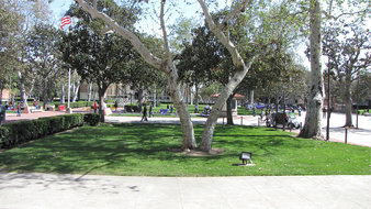 Enlarge photo 88