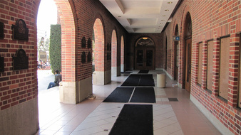 Enlarge photo 137