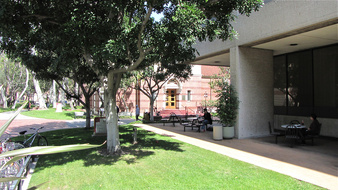 Enlarge photo 51