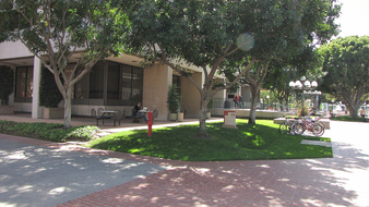 Enlarge photo 104
