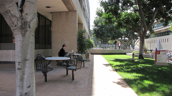 Enlarge photo 97