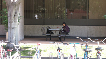 Enlarge photo 130