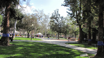 Enlarge photo 121