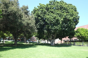 Enlarge photo 14
