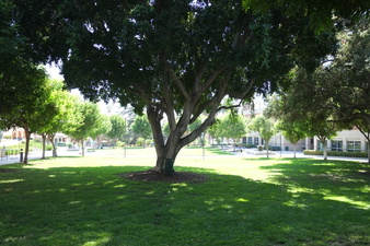 Enlarge photo 34