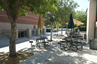 Enlarge photo 31