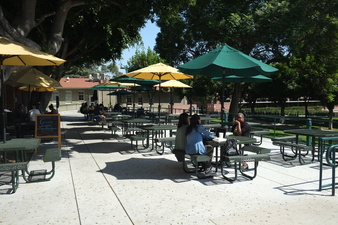 Enlarge photo 37