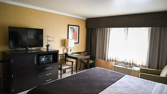 Enlarge photo 51