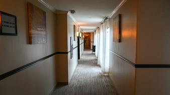 Enlarge photo 73