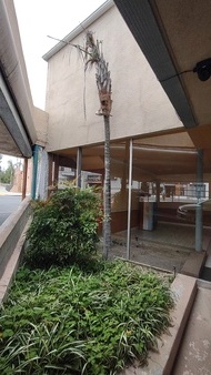 Enlarge photo 5