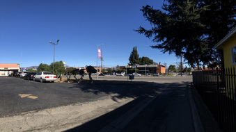 Enlarge photo 6