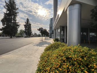 Enlarge photo 8